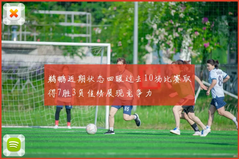 鹈鹕近期状态回暖过去10场比赛取得7胜3负佳绩展现竞争力
